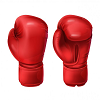 Boxing Logo