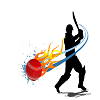 Cricket Logo