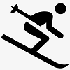 Skiing Logo